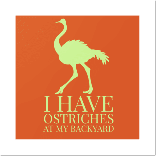 I have ostrich at my backyard Posters and Art